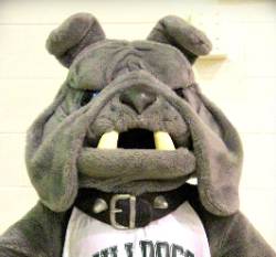 mascot