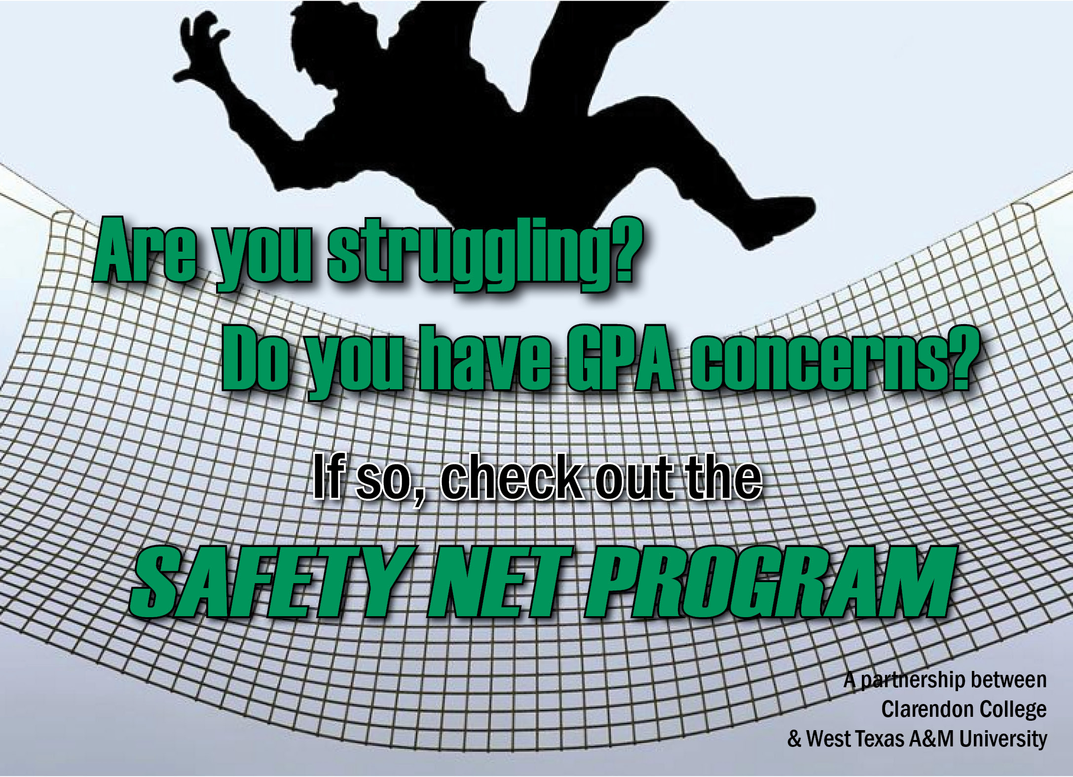 Safety Net Program 