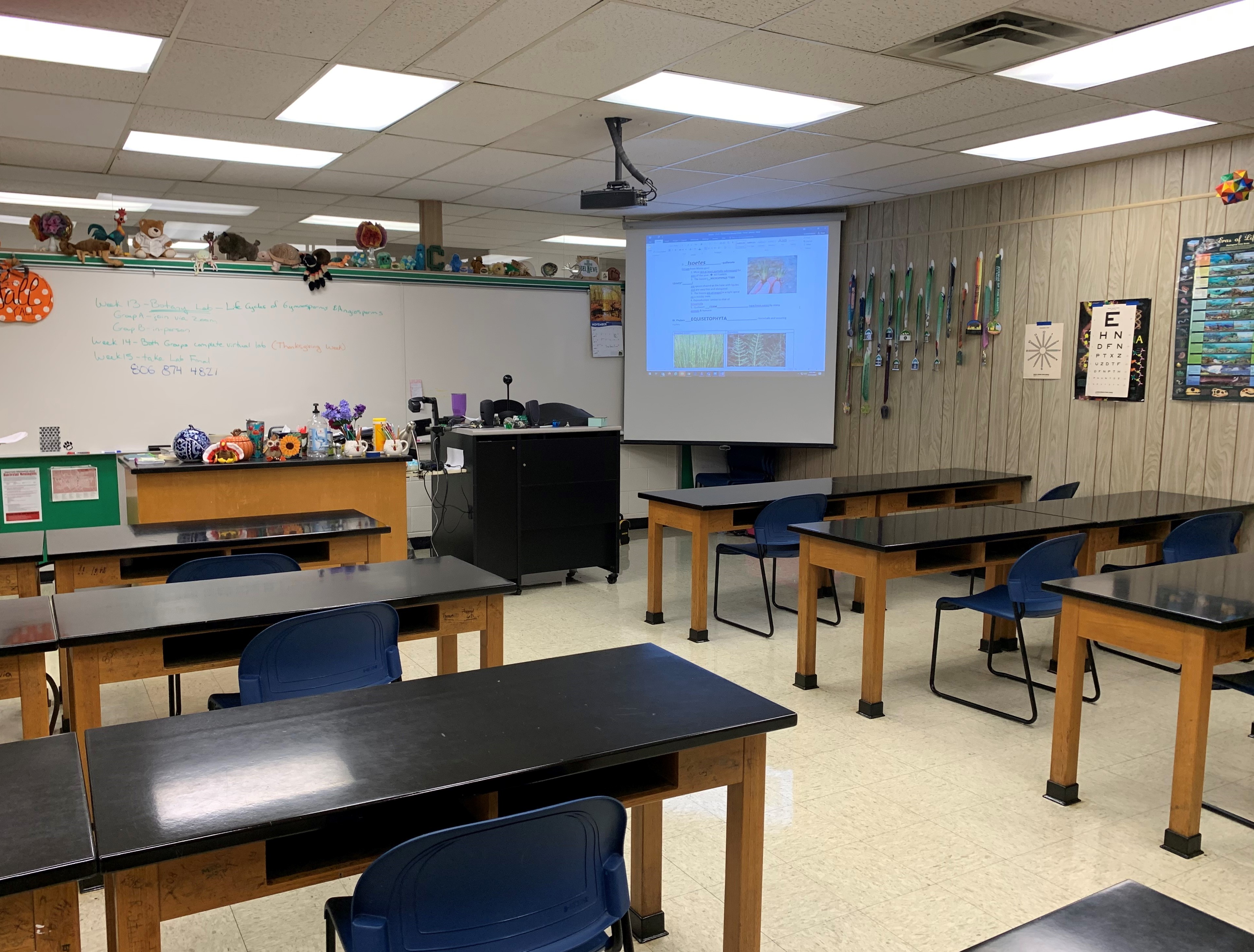 Biology Lab Biology Lab